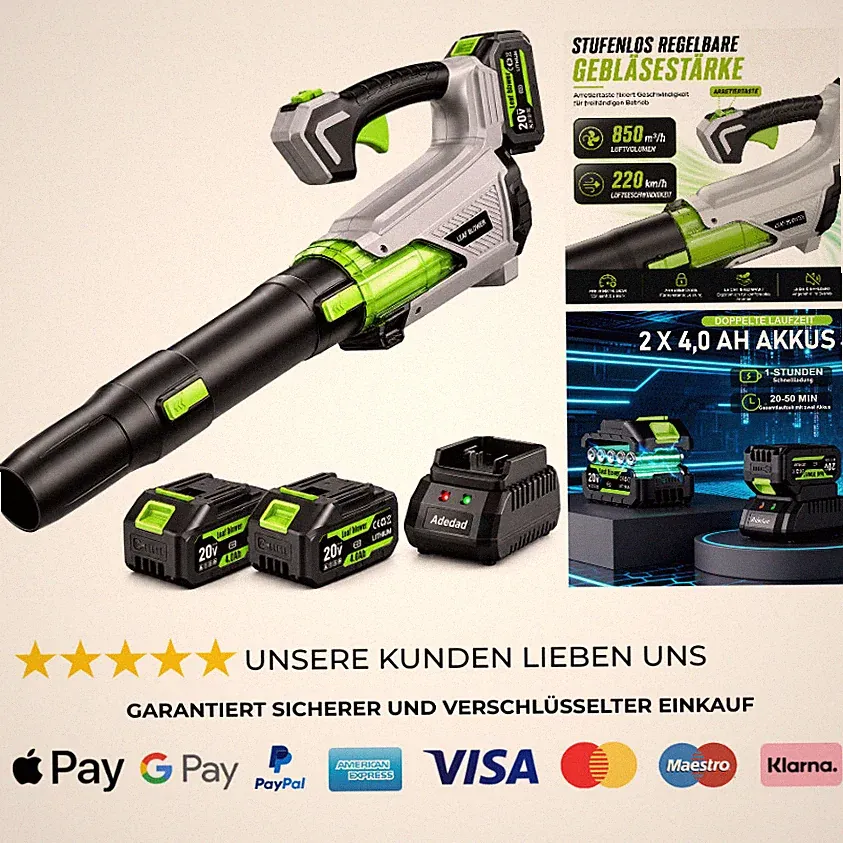 Akku Laubbläser 21V 2x4 0Ah 850m³