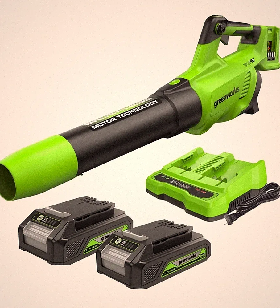 Greenworks Axial Blower 24V Akku-Laubbläser Set inkl 2 Akkus & Ladegerät NEU OVP